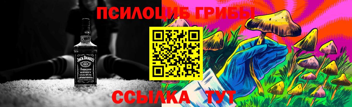 Йошкар-Ола  Псилоцибиновые грибы Psilocybine cubensis  Вход с VPN 
